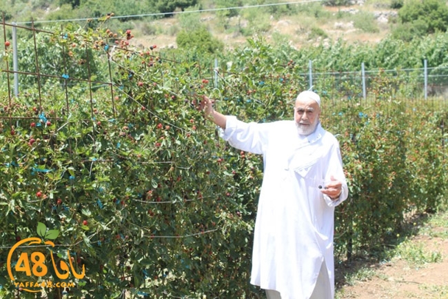 re7la a7ban (69).JPG